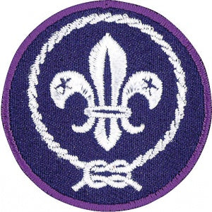 Emblem World Crest Patch