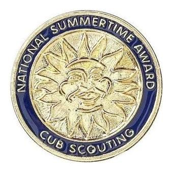 Award Pin - National Summertime Webelos