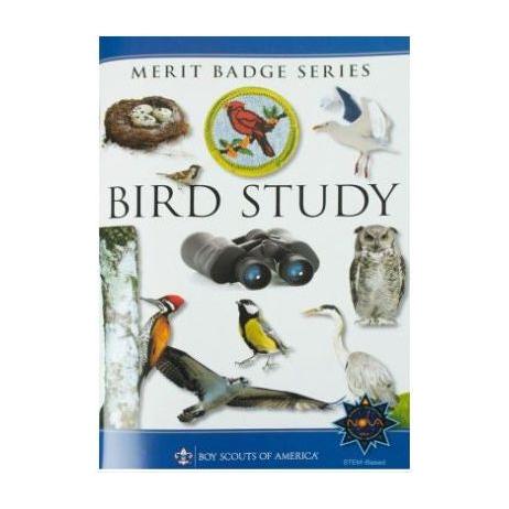 MBP Bird Study - 641254