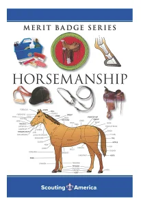 MBP Horsemanship - 662399