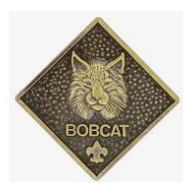 Pin Parent CS Bobcat