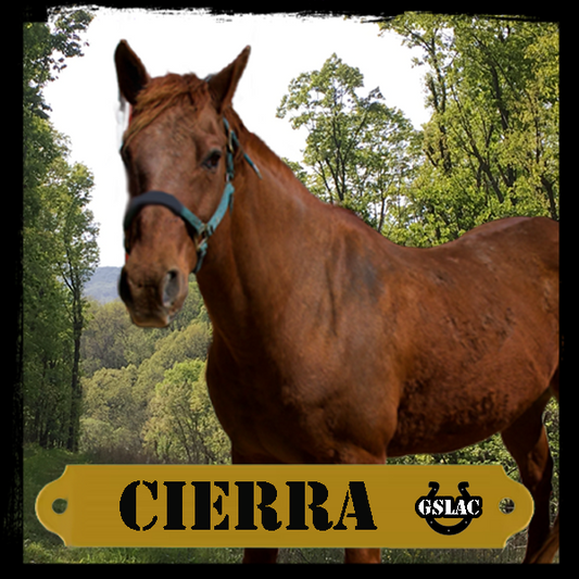 Sticker 3" Horse - Cierra