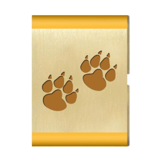 Adventure Loop - Lion Core - Mountain Lion