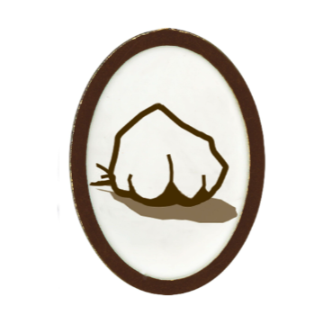 Adventure Pin - Elective - Earth Rocks!