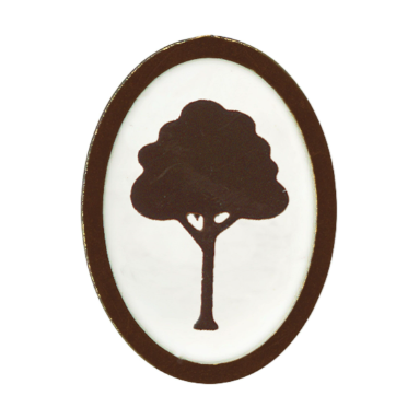 Adventure Pin - Elective - Into the Woods