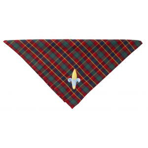Neckerchief CS Webelos
