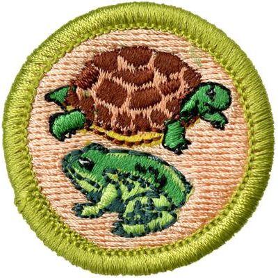 Emblem Merit Badge Reptile and Amphibian Study - 10500