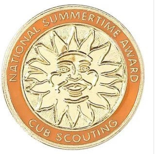 Award Pin - National Summertime Tiger