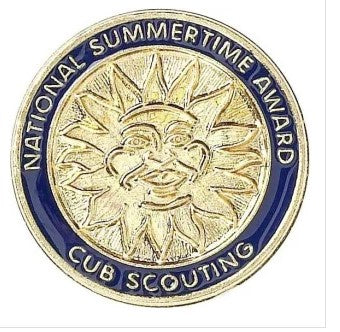 Award Pin - National Summertime Webelos