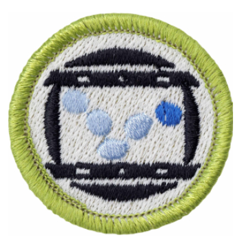 Emblem Merit Badge Animation - 620494