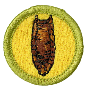 Emblem Merit Badge Archaeology