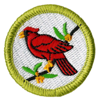 Emblem Merit Badge Bird Study
