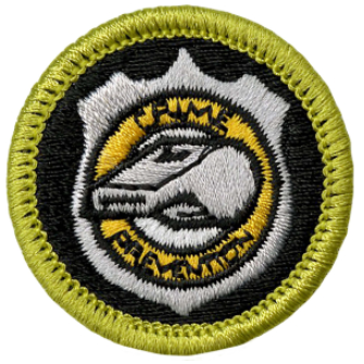 Emblem Merit Badge Crime Prevention