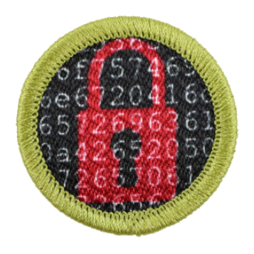 Emblem Merit Badge Cybersecurity