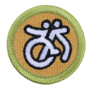 Emblem Merit Badge Disability Awareness
