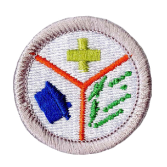 Emblem Merit Badge Emergency Preparedness