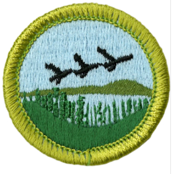 Emblem Merit Badge Fish and Wildlife Management