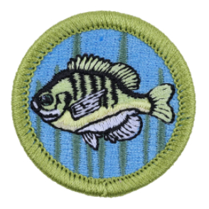 Emblem Merit Badge Fishing
