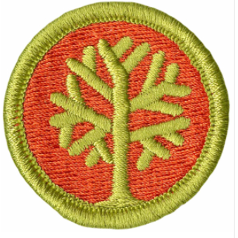 Emblem Merit Badge Genealogy
