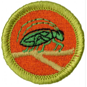 Emblem Merit Badge Insect Study