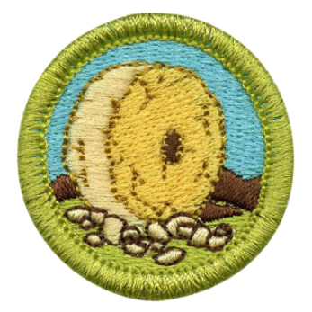 Emblem Merit Badge Inventing