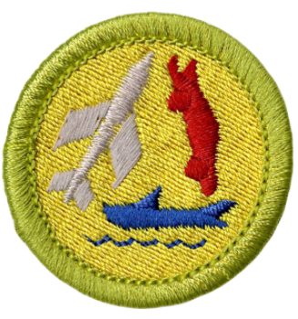 Emblem Merit Badge Model Design and Building