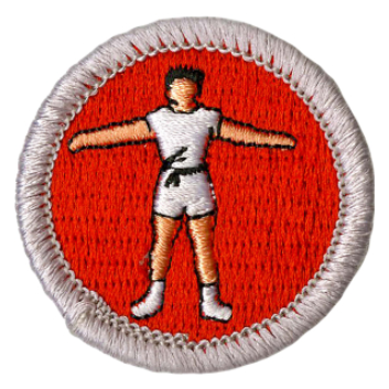 Emblem Merit Badge Personal Fitness