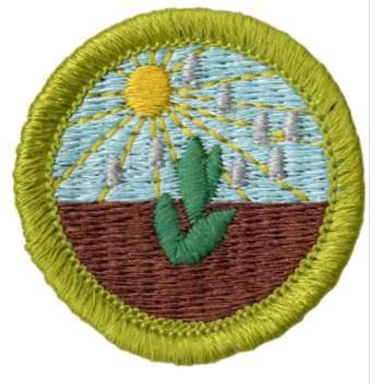 Emblem Merit Badge Plant Science