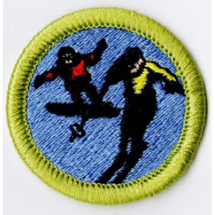 Emblem Merit Badge Snow Sports