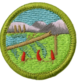 Emblem Merit Badge Wilderness Survival