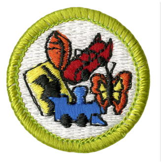 Emblem Merit Badge Collections - 10610