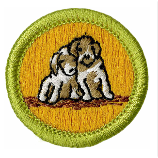 Emblem Merit Badge Dog Care - 10529