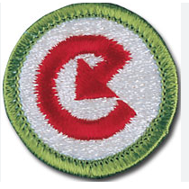 Emblem Merit Badge Energy - 10533