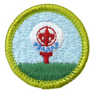 Emblem Merit Badge Golf - 10545