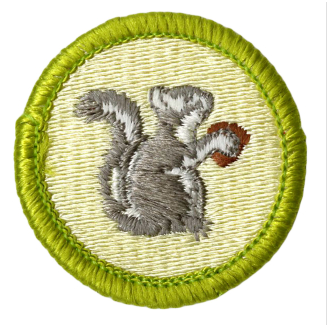 Emblem Merit Badge Mammal Study - 10559