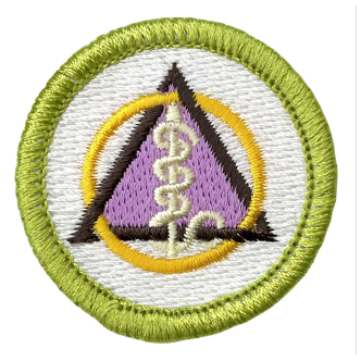 Emblem Merit Badge Dentistry - 10528