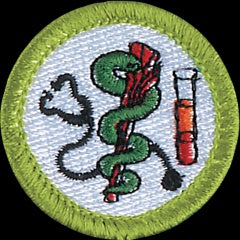 Emblem Merit Badge Healthcare Professions - 10612