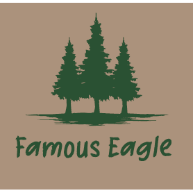 Hoodie Famous Eagle Flag