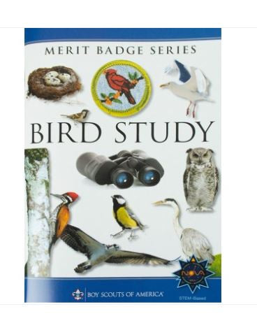 MBP Bird Study - 641254