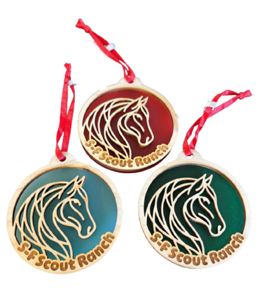 Ornament Frosted Acrylic Horse Head - S-F