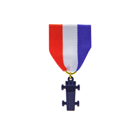 PWD Car Medal on Ribbon Pin