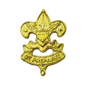 Pin Parent First Class