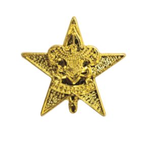 Pin Parent Star