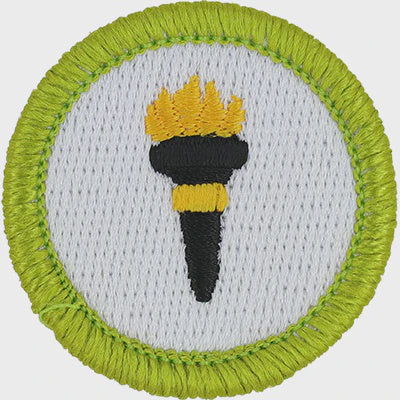 Emblem Merit Badge Public Health - 10576