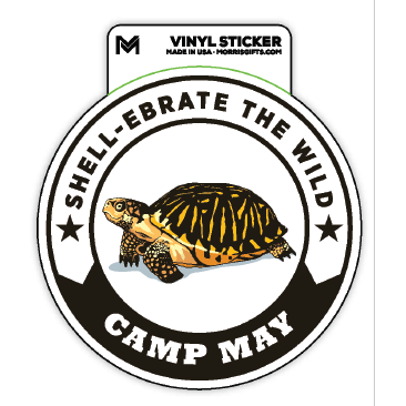 Sticker Shell-ebrate Turtle Camp May