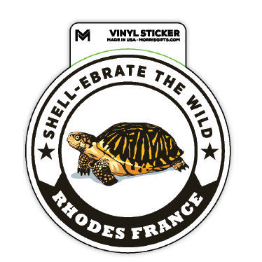 Sticker Shell-ebrate Turtle Rhodes France