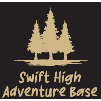 Load image into Gallery viewer, Tee Moisture Wicking Swift Flag
