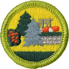 Emblem Merit Badge Landscape Architecture - 10555