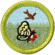 Emblem Merit Badge Nature - 10566