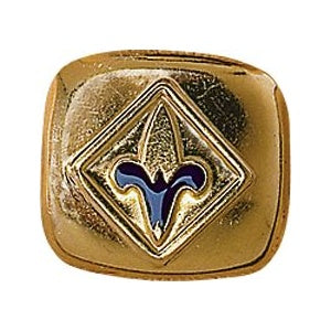 Slide Neckerchief  Webelos